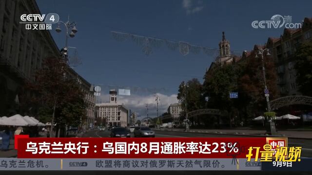 乌克兰央行:乌国内8月通胀率将达23%