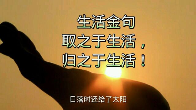 #经典金句#我捡到一束光,日落归还于太阳