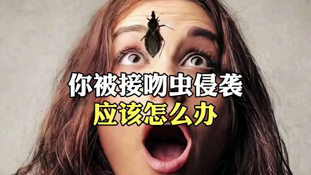 你被接吻虫侵袭应该怎么办