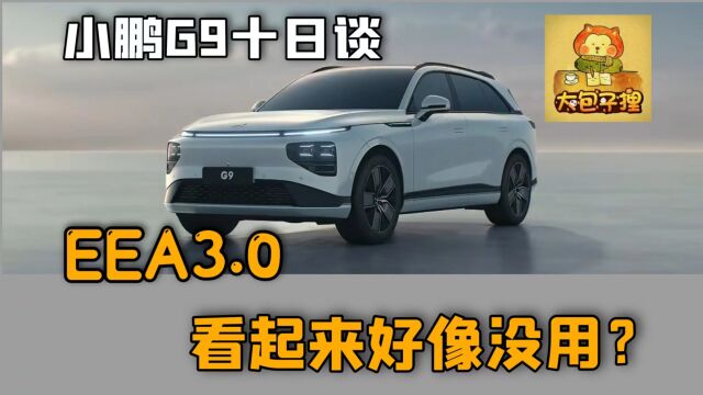 小鹏G9的EEA3.0看起来好像没用?