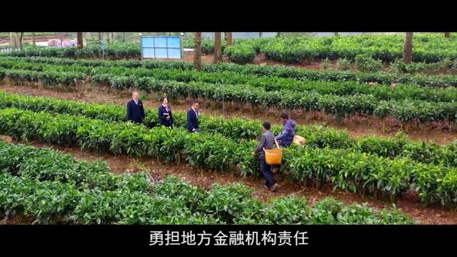 与企业并肩| 云南农信:引金融“活水” 浇灌企业成长之根