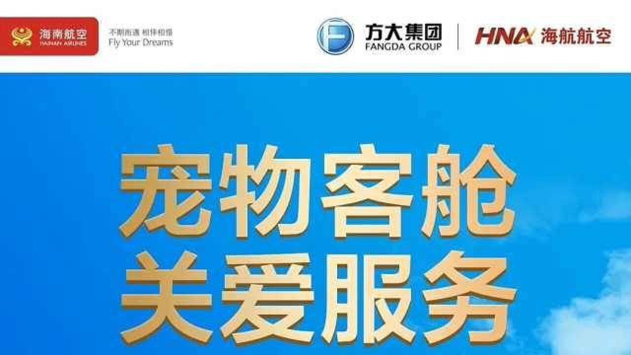 海航回应1399元宠物进客舱限制多:提前告知