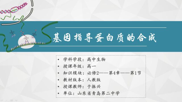 局属+山东省青岛第二中学+生物+于振兴+基因指导蛋白质的合成实录