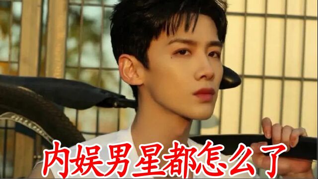 内娱男星都怎么了,20年前全民偶像 20年后欢乐喜剧人