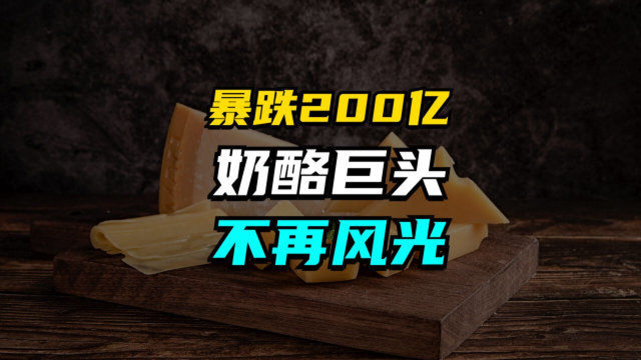 研发人员有三分之一竟是高中学历?奶酪巨头何以称霸市场?