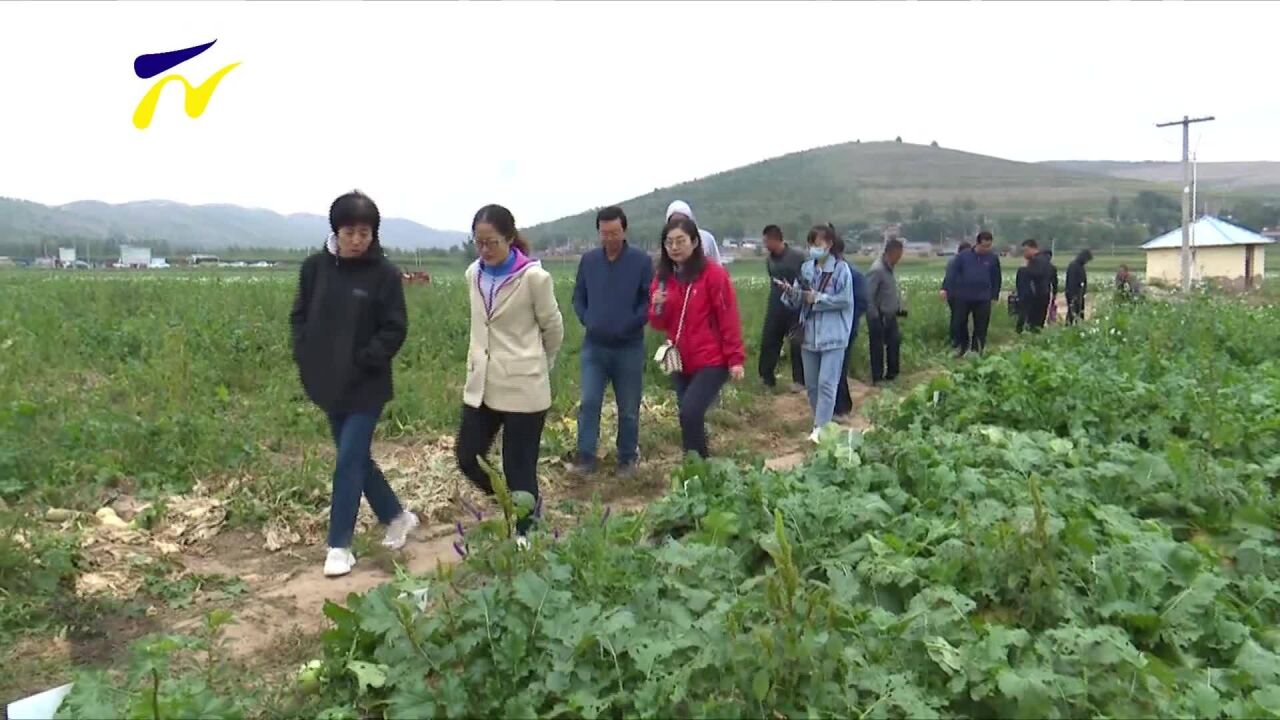 “十四五”国家重点研发计划课题现场观摩会在西吉县举行