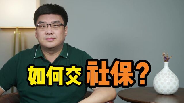 自由职业者,到底如何交社保?专家解读来了!