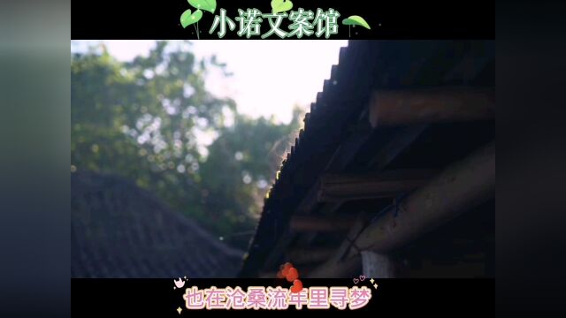 小诺情感文案馆