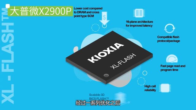 傲腾时代结束?大普微Xlenstor2 X2900P接棒!(附视频)