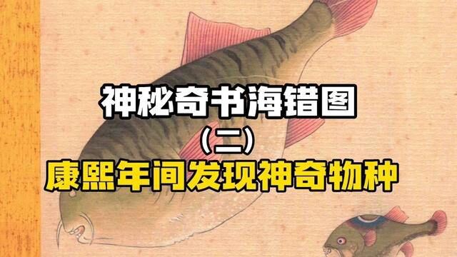 《海错图》一本神秘物种的奇书,第二集 #历史文化 #生物