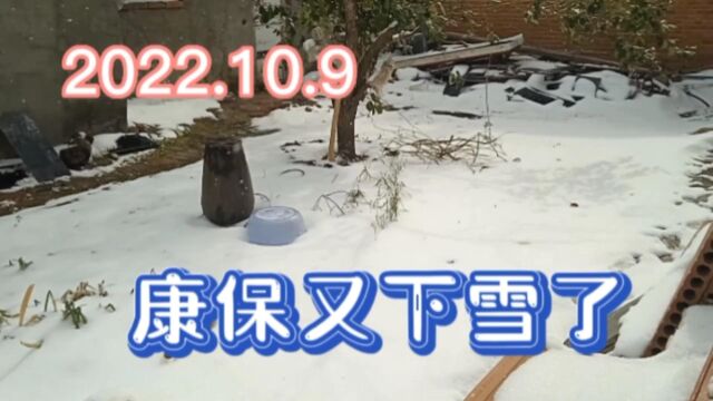 河北康保又下雪了,这是入秋以来下的最大的一场雪,为什么感觉不是很冷呢