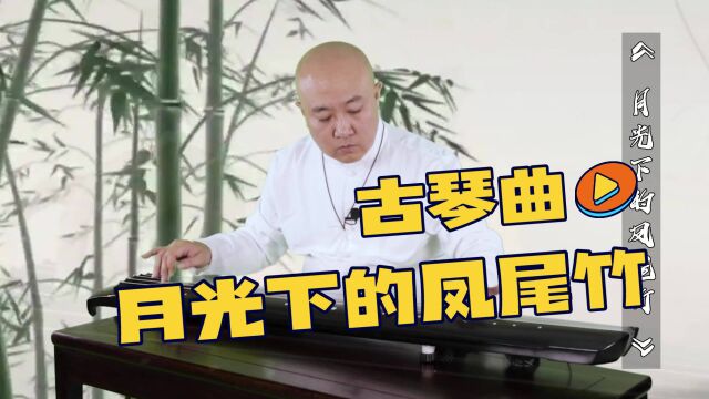 古琴曲《月光下的凤尾竹》王永亮演奏,古琴最养心的名曲有哪些?