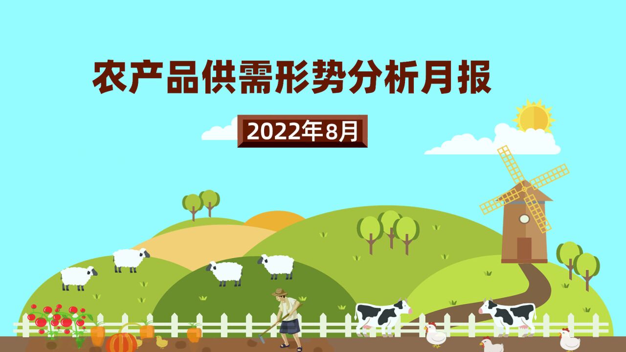 8月份食用植物油、猪肉、蔬菜、牛羊肉价格上涨 玉米、水果价格下跌