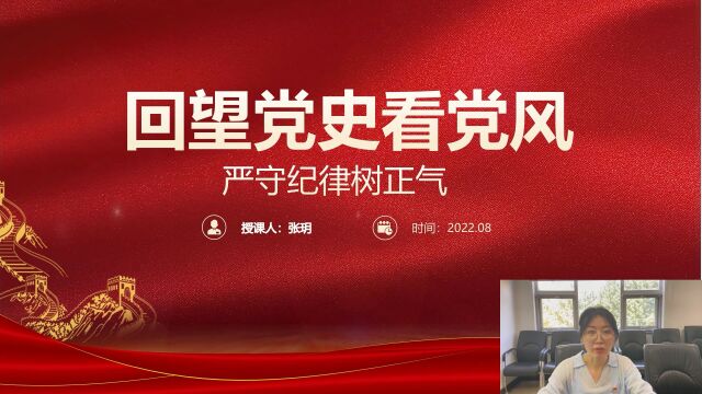 《回望党史看党风 严守纪律树正气》廉洁党课输电检修检修中心张玥