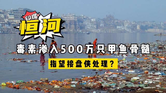 印度“恒河之殇”:毒素渗入500万只甲鱼骨髓,想让接盘侠处理?