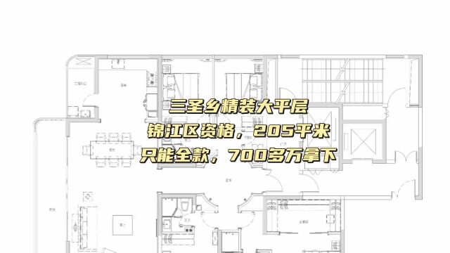 德商锦江天玺精装大平层205平米700多拿下全款三圣乡锦江区好房