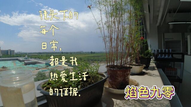 vlog拿起相机去记录身边的美好,不要错过身边的美好瞬间