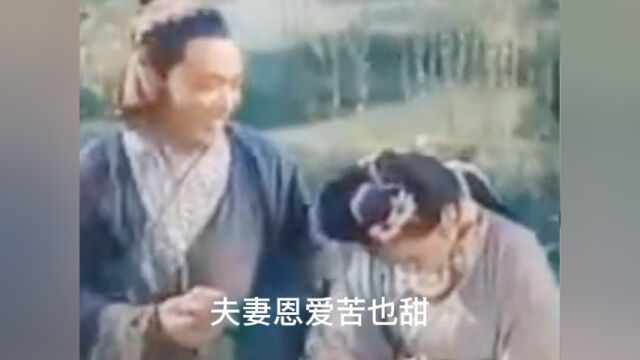 夫妻双双把家还! 黄梅戏天仙配经典唱段太好听了 多少年传唱不衰