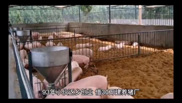 93年小伙返乡创业,借30万建养猪厂,做生态农业,你看好吗?