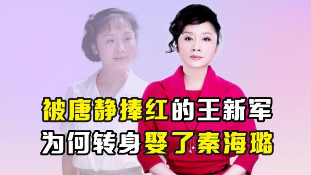 被唐静捧红的王新军,为何转身娶了秦海璐