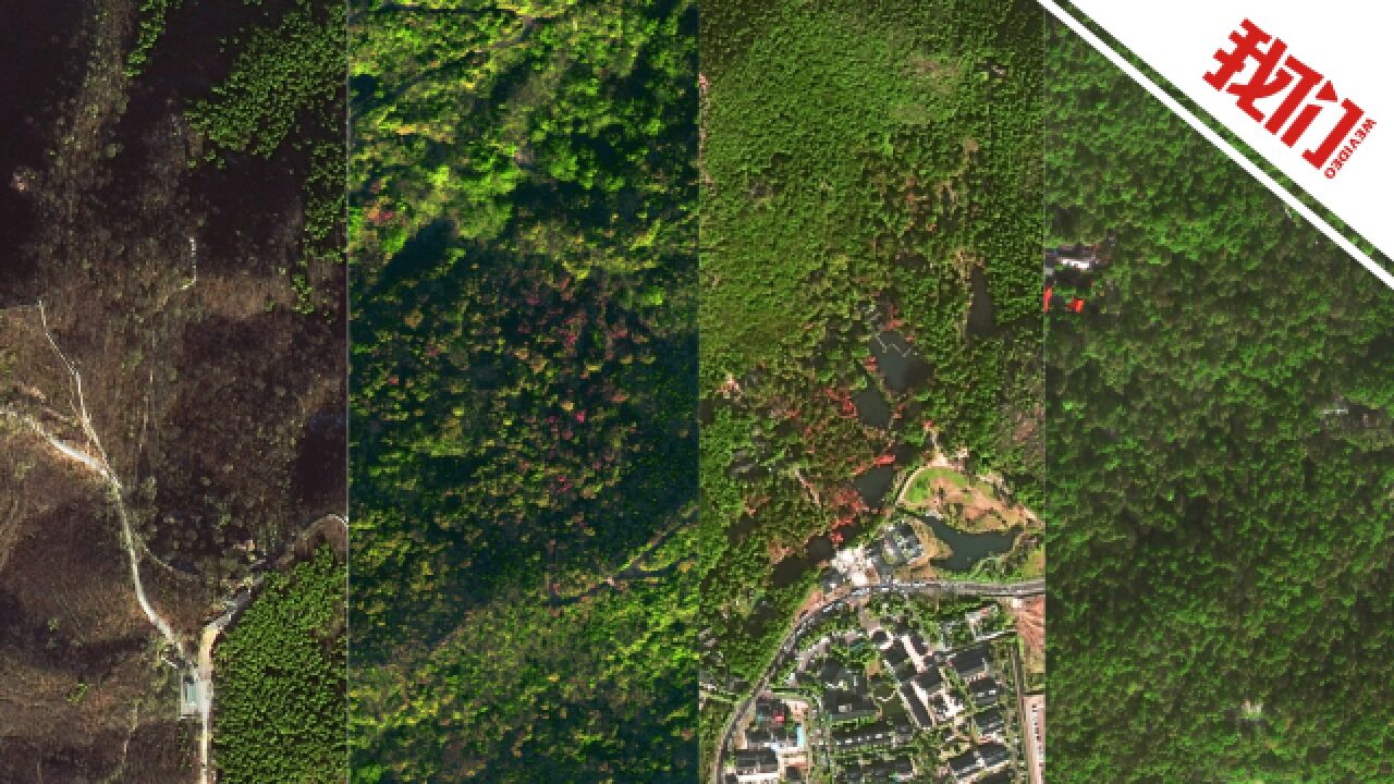 卫星带你瞰中国四大赏枫胜地:苏州天平红枫甲天下 北京香山驰名中外
