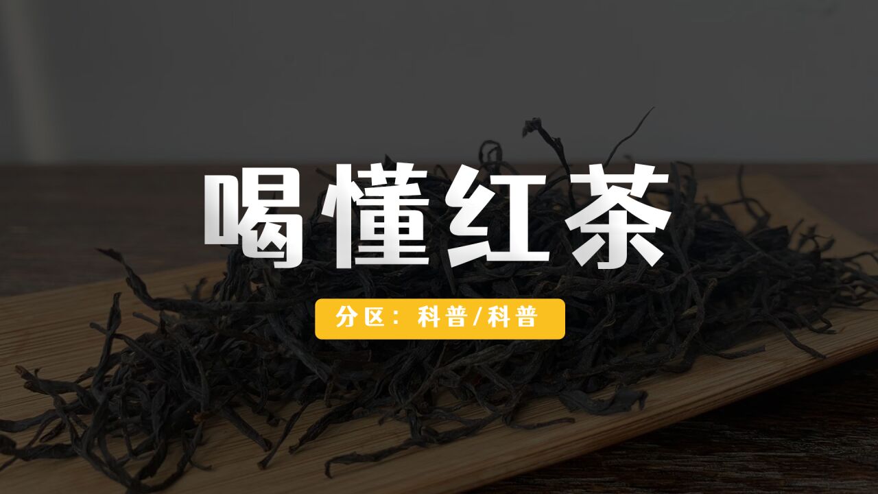 你真的能「喝懂红茶」吗?红茶进阶的悖论