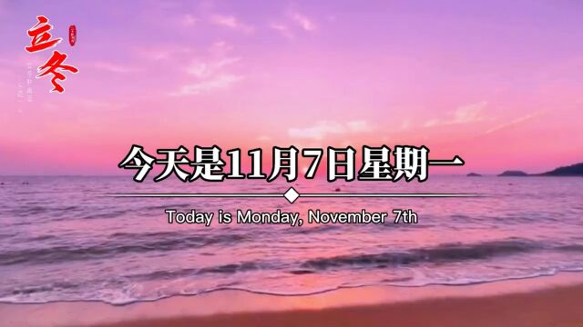 今天是11月7日星期一