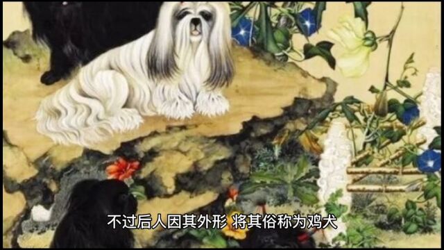 成语鸡犬不宁的鸡犬是什么?