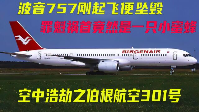 波音757刚起飞便坠湖,罪魁祸首竟然是一只蜜蜂,空中浩劫纪录片