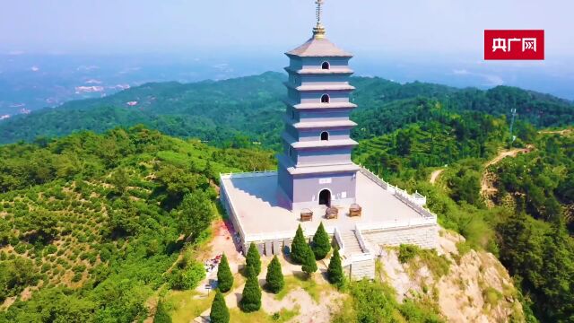 信阳市浉河区:初冬茶山 风景如画