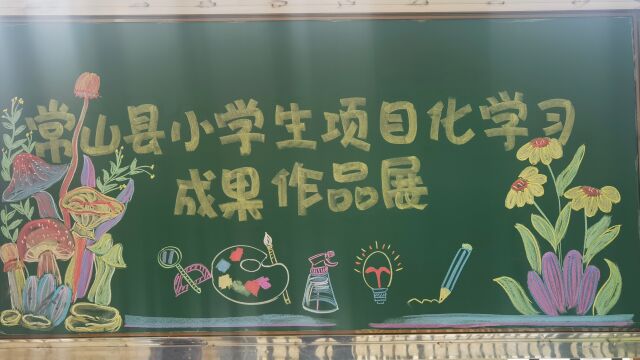 常山县小学科学项目化学习成果作品