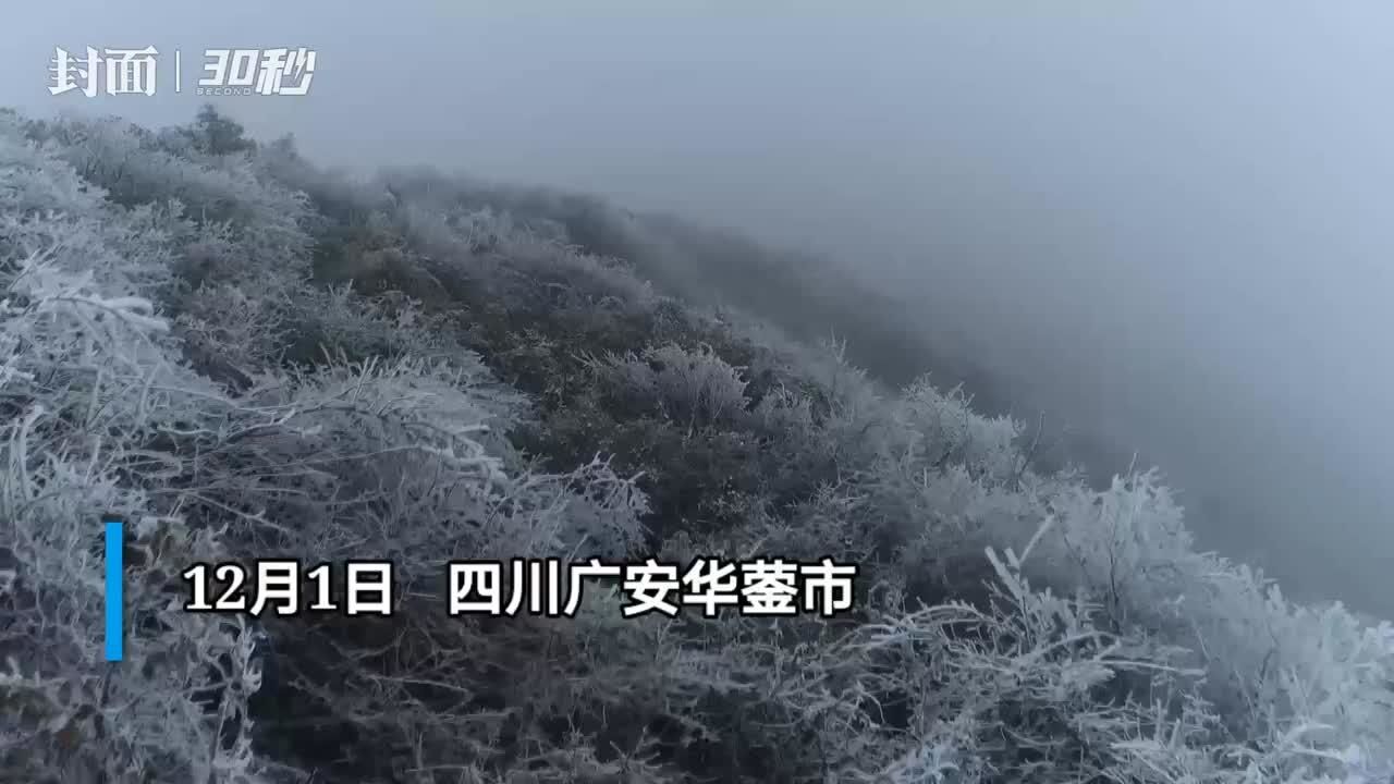 今冬首场雪飘然而至,四川华蓥山成为一幅水墨山水画