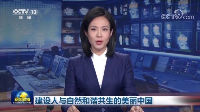 建设人与自然和谐共生的美丽中国