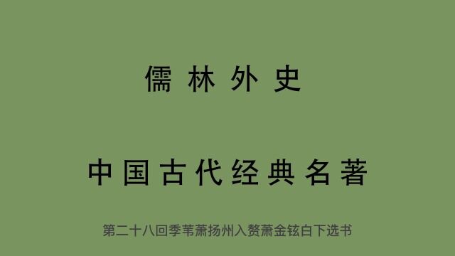 有声书 全文朗读 儒林外史28