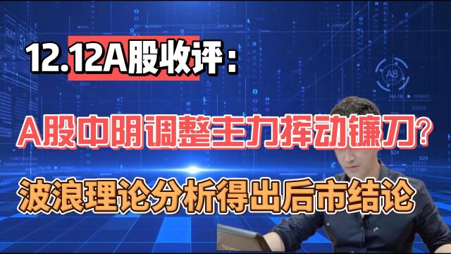 12.12收评: A股中应调整主力挥动镰刀?波浪理论分析得出后市结论!