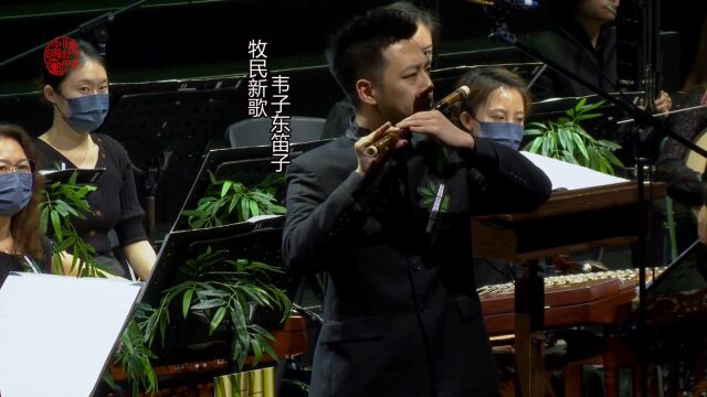 韦子东笛子演奏《牧民新歌》,视听盛宴