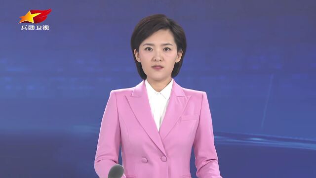 中国共产党新疆生产建设兵团第八届委员会第三次全体会议决议