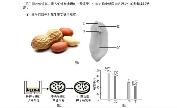 人教版生物七年级上易错题10