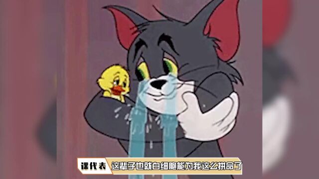 白细胞是如何追杀病毒的