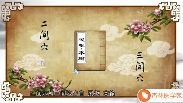 013【大肠经】13.二三间穴——中医止泻的特效穴