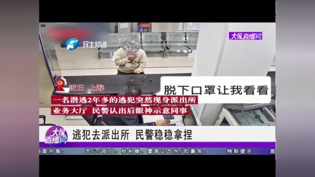 逃犯去派出所,民警稳稳拿捏