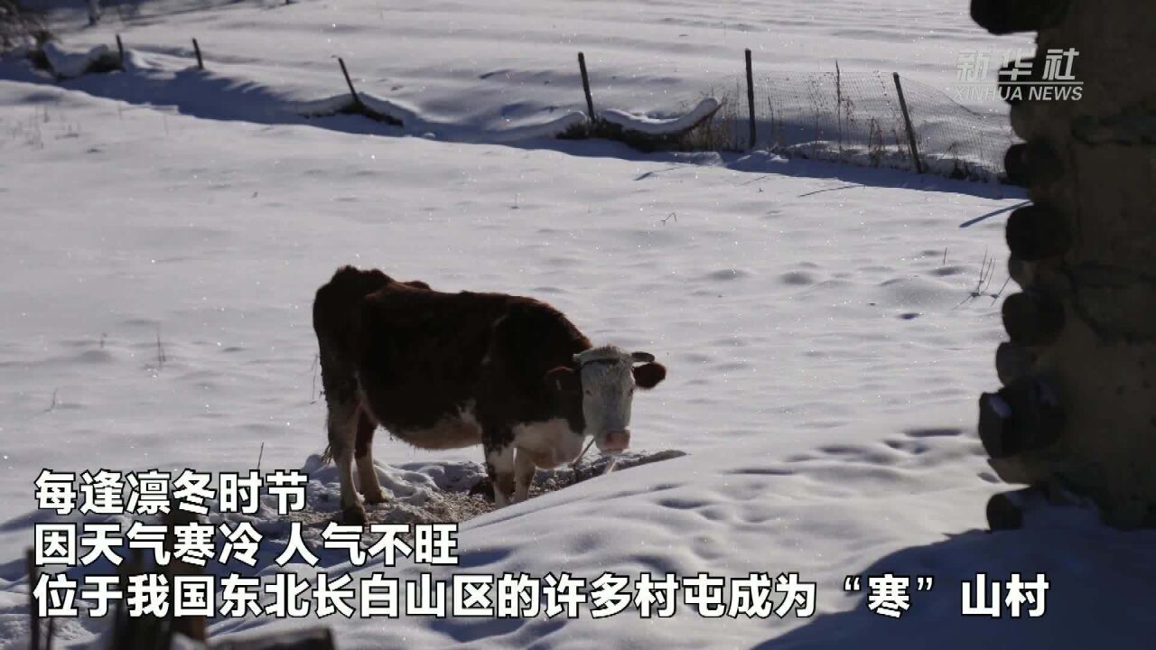 长白山区“寒”山村的“暖”振兴