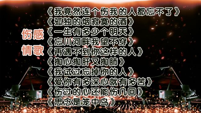 10首伤感催泪情歌《我竟然连个伤我的人都忘不了》《孤独的烟寂寞的酒》《一生有多少个明天》