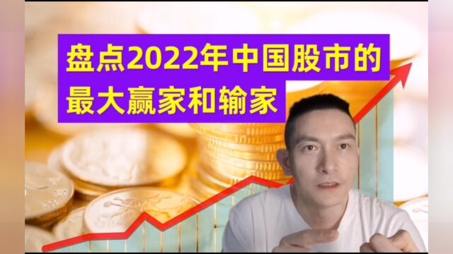 盘点2022年中国股市的最大赢家和输家