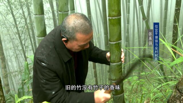 信宜味道:留住乡愁:游子回乡游山村 竹海美食等你来