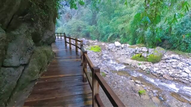 重庆万盛黑山谷景区上集,大氧吧空气好