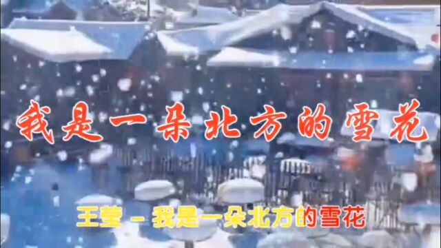 一曲《我是一朵北方的雪花》