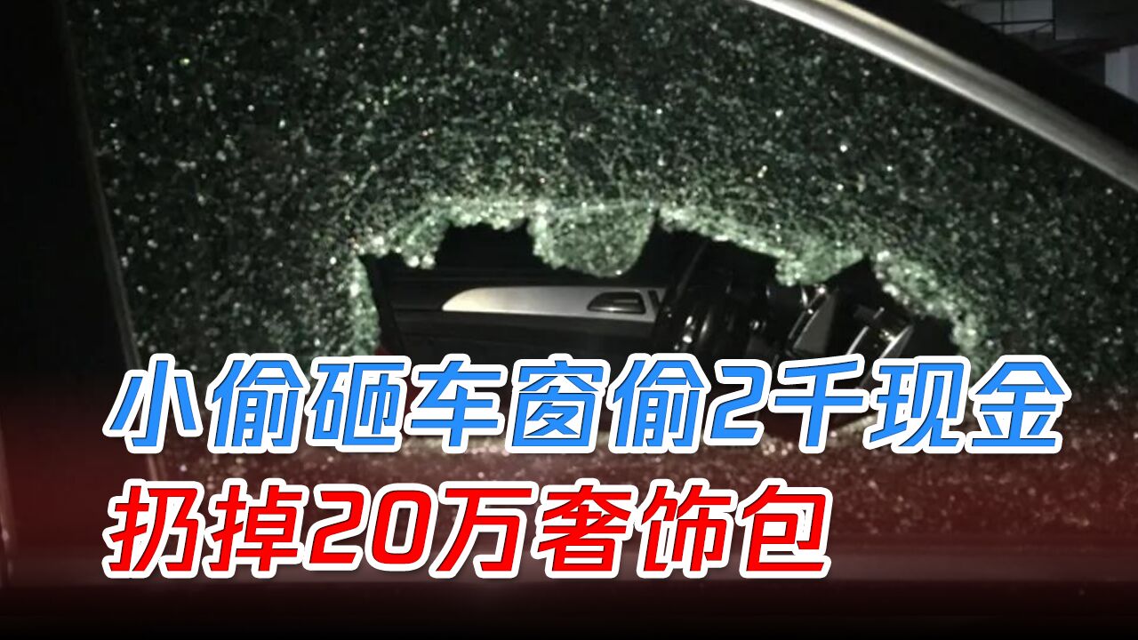 两毛贼砸车窗偷2千现金,扔掉20万奢饰包,民警:小偷不认识牌子