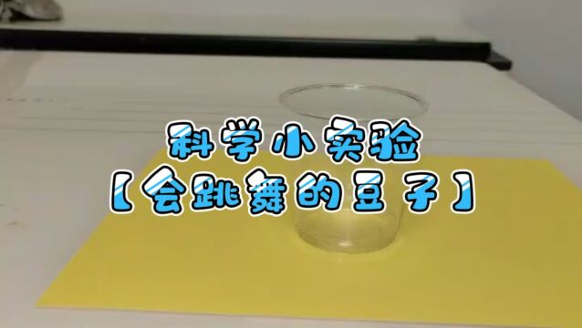 会跳舞的豆子