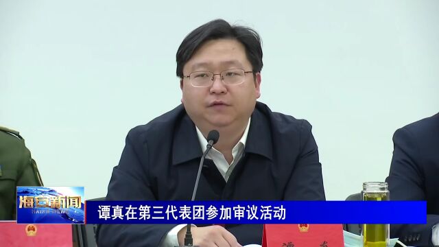 “突出招商引资生命线!”谭真参加代表团和列席队审议活动